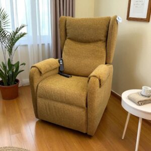 Sillón relax eléctrico con doble motor